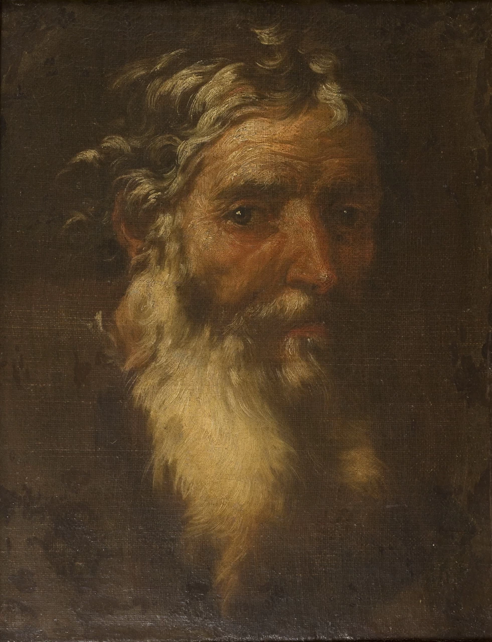Testa di vecchio - Museo di Capodimonte, Napoli